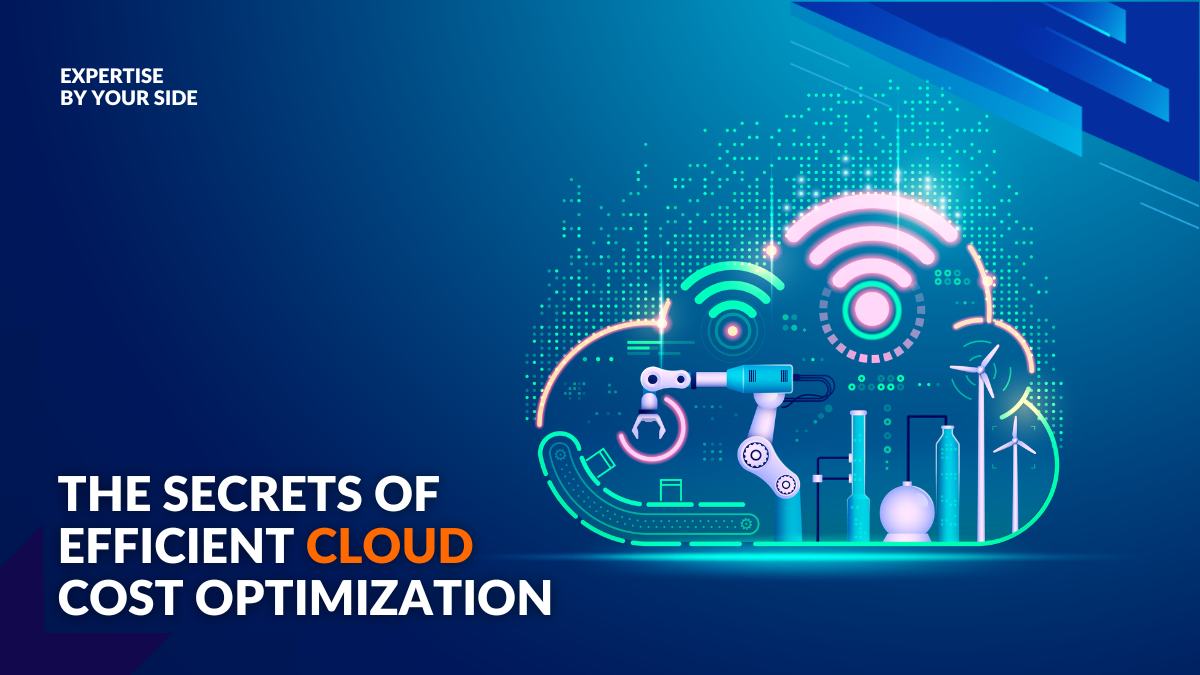 Cost Optimization in the Cloud