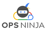 opsninja.cloud